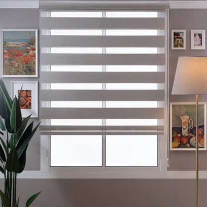 SFS Blackout Zebra Blinds