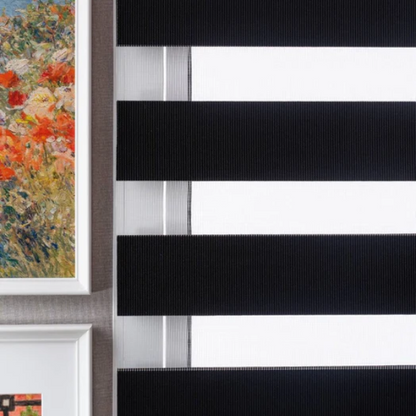 SFS Blackout Zebra Blinds